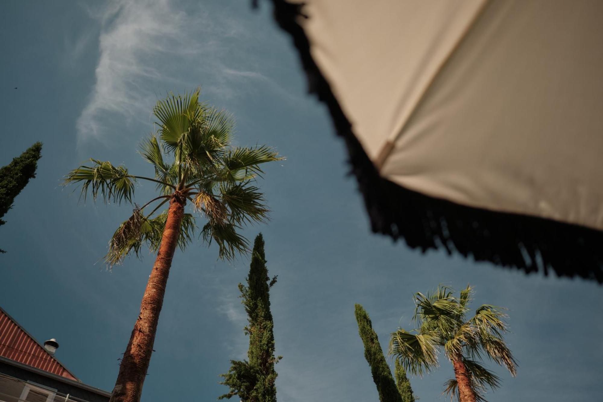 Ga Palace Hotel & Spa, A Xixth-Century Villa OOporto Exterior foto Palm trees in the city